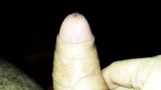 Il mio giocattolo è a vostra disposizione