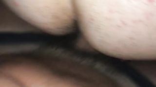 Moglie a pecora...me la scopo