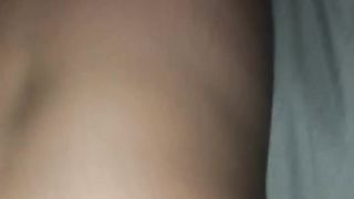 Moglie a pecora...me la scopo