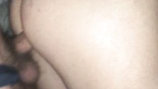 Moglie a pecora...me la scopo