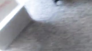 Gran troiona in banca