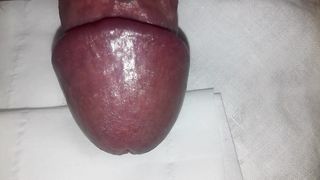 Anteprima del video: My Big dick