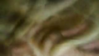 In una calda notte d'estate