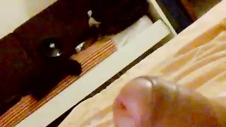 Mi masturbo e sborro