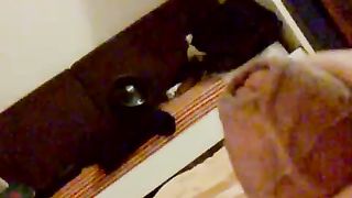 Mi masturbo e sborro