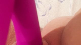 La Porca appena sveglia