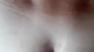 Amica TRANS mi incula