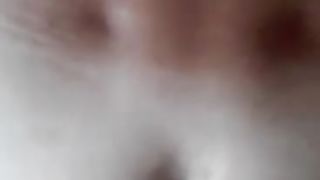 Amica TRANS mi incula