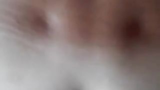 Amica TRANS mi incula