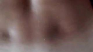 Amica TRANS mi incula