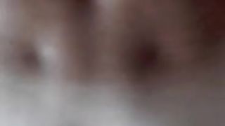 Amica TRANS mi incula