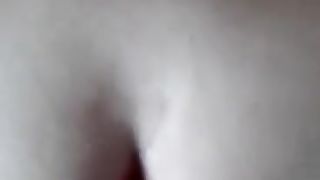 Amica TRANS mi incula