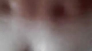 Amica TRANS mi incula