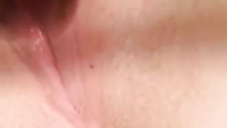 Porcellina di WhatsApp 1