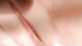 Porcellina di WhatsApp 1