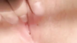 Porcellina di WhatsApp 1