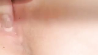 Porcellina di WhatsApp 1