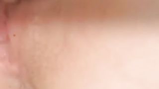 Porcellina di WhatsApp 1