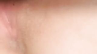 Porcellina di WhatsApp 1