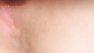 Porcellina di WhatsApp 1