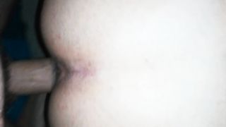 Appena svegli, una scopata a PECORA