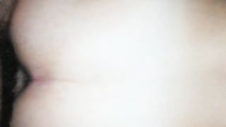 Appena svegli, una scopata a PECORA