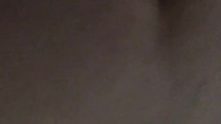 La mia amichetta a pecora