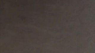 La mia amichetta a pecora