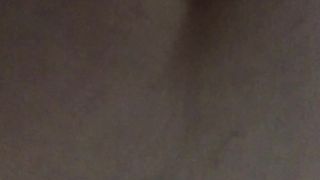 La mia amichetta a pecora