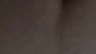 La mia amichetta a pecora