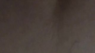 La mia amichetta a pecora