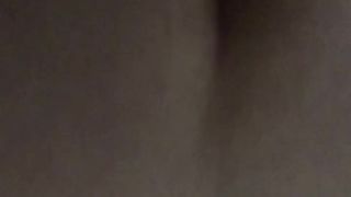 La mia amichetta a pecora