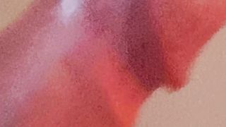 mio Cazzo bello eretto e scappellato