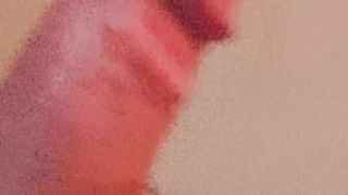 mio Cazzo bello eretto e scappellato