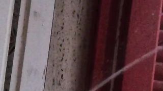 Pisciata di mattina presto