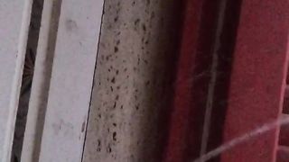 Pisciata di mattina presto