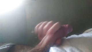 Mi sego pensando a lei