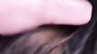 Un bellissimo soffocone in giardino