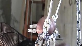 appesa per le palle che vengono infilate da tre aghi...   BDSM estremo