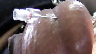 appesa per le palle che vengono infilate da tre aghi...   BDSM estremo