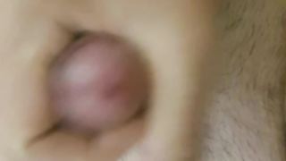 Il mio cazzo Parte 15