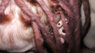 Bella tedesca con trecce e piercing succhia grosso cazzo