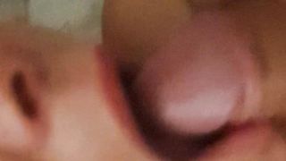 La porca mi slinguazza la cappella