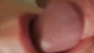 La porca mi slinguazza la cappella