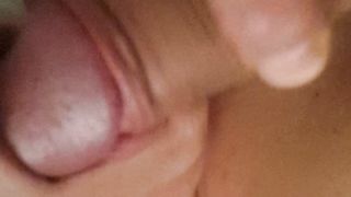 La porca mi slinguazza la cappella