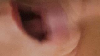 La porca mi slinguazza la cappella