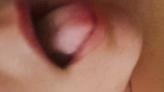 La porca mi slinguazza la cappella