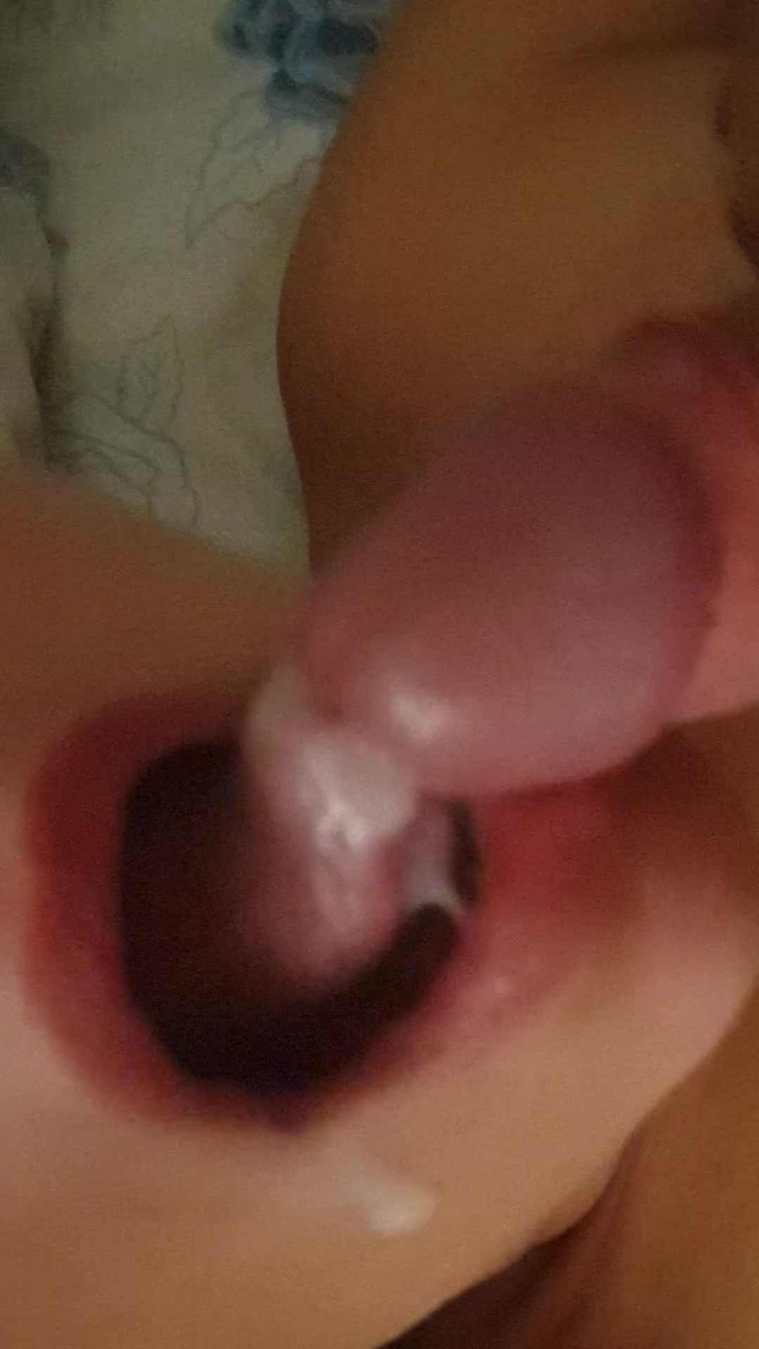 La porca mi slinguazza la cappella