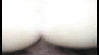 Matura torinese presa alla pecorina