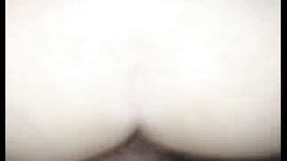 Matura torinese presa alla pecorina